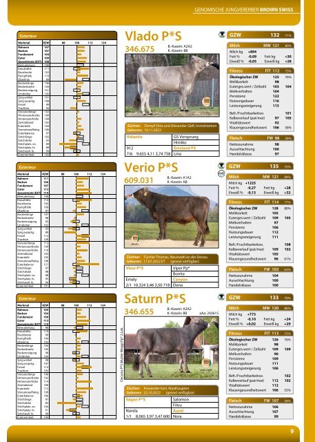 BSG Greifenberg Hornloskatalog 2024