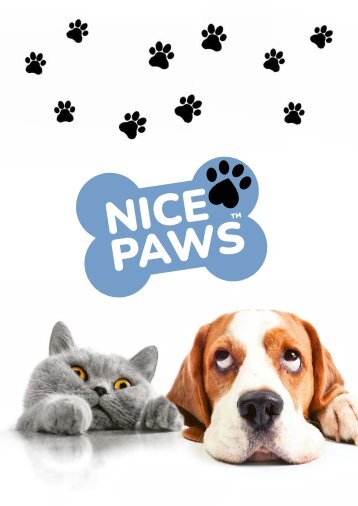 2024_Nice Paws