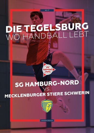 Die Tegelsburg No. 17 - Wo Handball lebt - Hallenheft Jugendbundesliga mA1 vs. Mecklenburger Stiere Schwerin