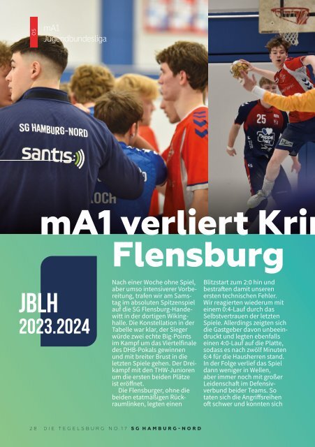 Die Tegelsburg No. 17 - Wo Handball lebt - Hallenheft Jugendbundesliga mA1 vs. Mecklenburger Stiere Schwerin