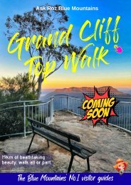 Grand Cliff Top Walk - Blue Mountains Australia
