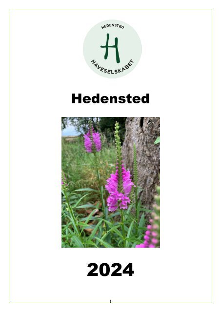 Hedensted program 2024