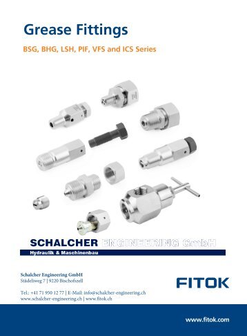 Grease Fittings EN