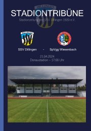 STADIONTRIBÜNE - AKTUELLE NEWS ZU DEN KREISLIGA-HEIMSPIELEN DER SSV DILLINGEN IM DONAUSTADION!