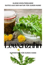 Der Löwenzahn - Superfood für euren Hund 