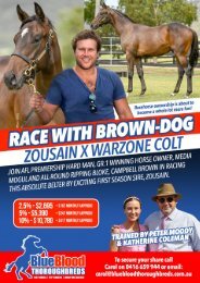 Race with Brown Dog
