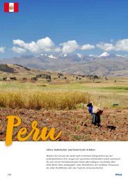 Brasa Peru_2024