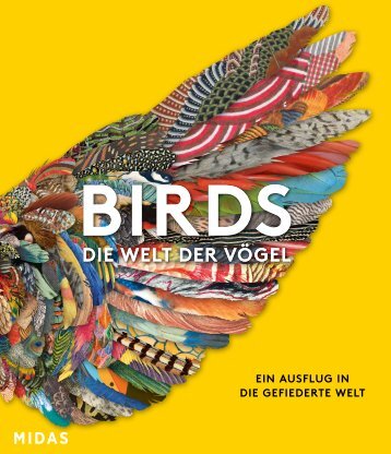 BIRDS - Die Welt der Vögel (Leseprobe)