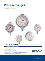 Pressure Gauge FITOK EN