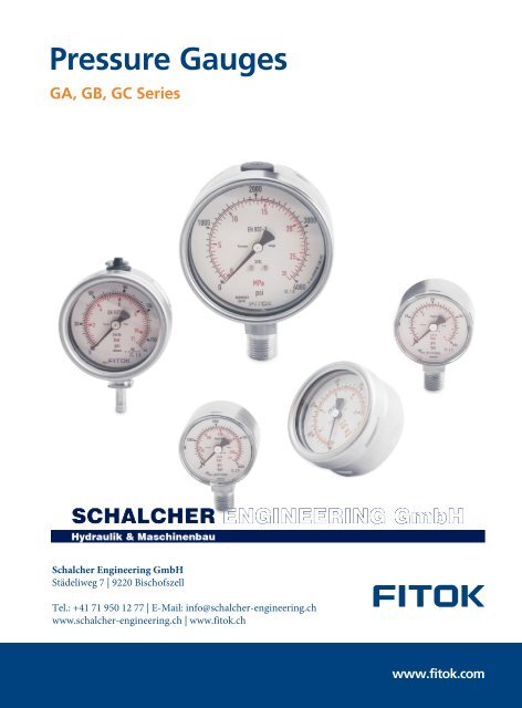 Pressure Gauge FITOK EN