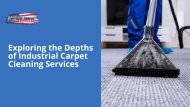 Exploring the Depths of Industrial Carpet Cleaning Services