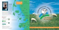 Nordfriesland - Nordfriesische Lammtage