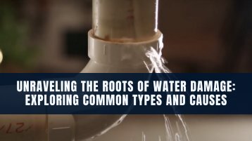 Unraveling the Roots of Water Damage: Exploring Common Types and Causes