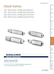 Medium High Pressure Check Valves FITOK EN