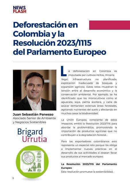 Newsflash: Edición Abril 2024