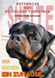 Rottweiler aus den deutschen Tierheimen auf der Suche nach einem neuen Zuhause