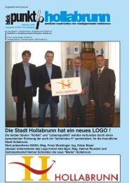 Neues Logo für Hollabrunn - NetTeam Internet
