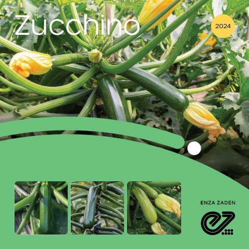 Brochure Zucchino 2024