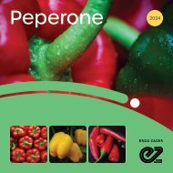 Brochure Peperone 2024