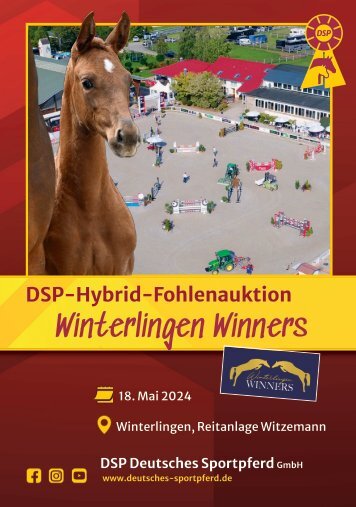 DSP-Hybrid-Fohlenauktion Winterlingen Winners