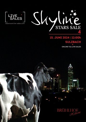 Katalog Skyline  Stars Sale 4