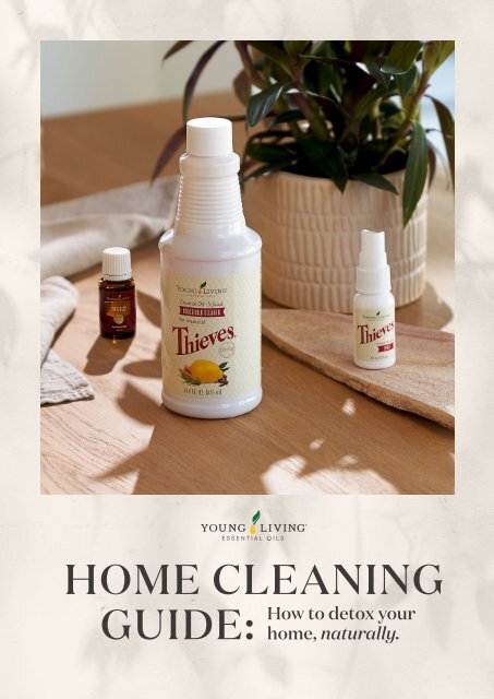 Home Cleaning Guide