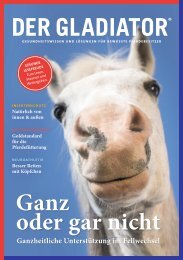 DER GLADIATOR: Ganz oder gar nicht