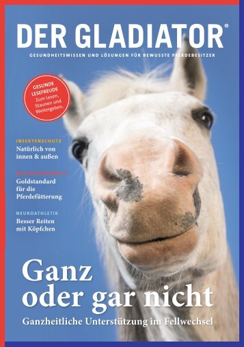 DER GLADIATOR: Ganz oder gar nicht