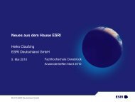 Einblicke in ArcGIS 10 - Points Verlag