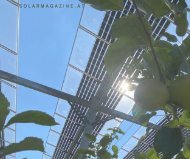 Obstbäume unter Solarmodulen: Ein Erfolg für Landwirtschaft und Energie?