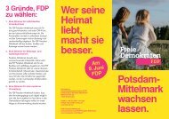fdp-potsdam-mittelmark-flyer-kommunalwahl2024