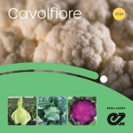 Brochure Cavolfiore 2024 