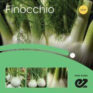 Brochure Finocchio 2024