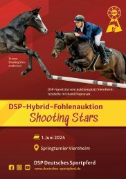 DSP-Hybrid-Fohlenauktion Shooting Stars am 1. Juni 2024 in Viernheim beim Springturnier