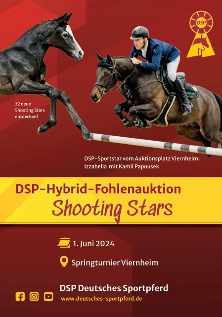 DSP-Hybrid-Fohlenauktion Shooting Stars am 1. Juni 2024 in Viernheim beim Springturnier