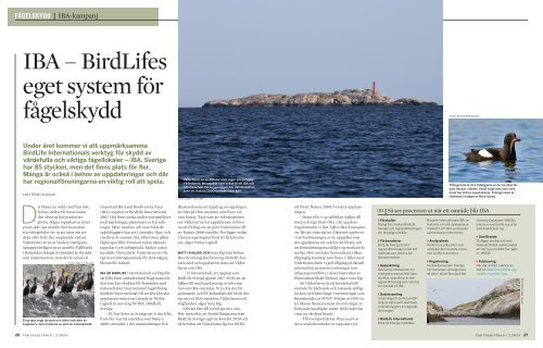 Vår Fågelvärld – IBA – BirdLifes eget system för fågelskydd