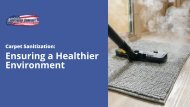 Carpet Sanitization: Ensuring a Healthier Environment
