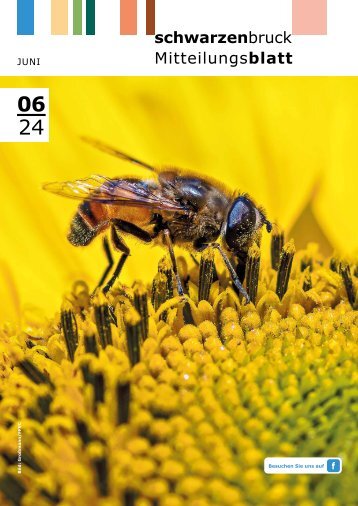 Mitteilungsblatt Schwarzenbruck 