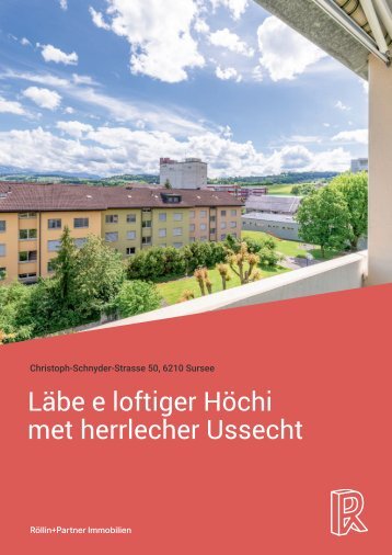immo_shop_P_1037659_Job-Nr-2698529_b.roellin_roellinpartner.ch_Broschuere_A4_Druck__inkl._eBook_.pdf