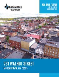231 Walnut Street Marketing Flyer