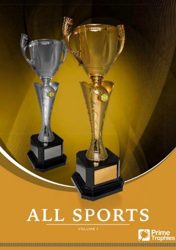 Prime Trophies All Sports Catalogue 2024