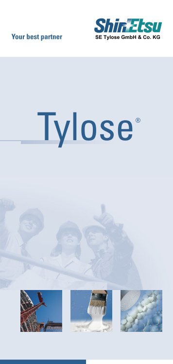 Download pdf - SE Tylose® GmbH & Co. KG