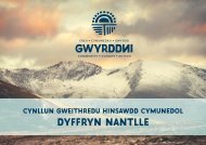 Cynllun Gweithredu Newid Hinsawdd Dyffryn Nantlle