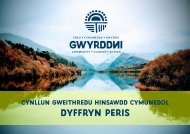 Cynllun Gweithredu Hinsawdd Cymunedol Dyffryn Peris