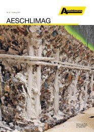 AeschliMag25_web