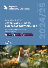 IVE_UK Nurse Brochure June24
