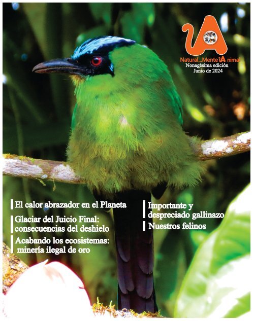 Edición digital Revista Natural...Mente Animal