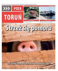 Poza Toruń nr 289