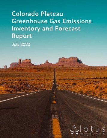 GCT_Longreport_FINAL_10152020_compressed