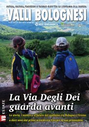 NELLE VALLI BOLOGNESI N°62